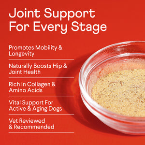 Bone Broth Plus