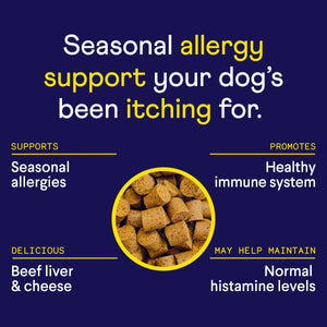 Allergy & Itch