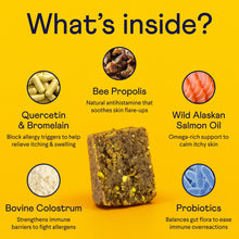 Load image into Gallery viewer, Comfy Pup Bundle