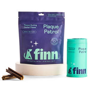Plaque Patrol Dental Bundle Small