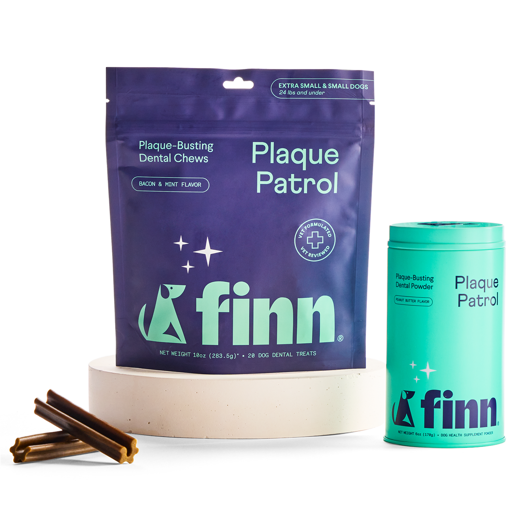 Plaque Patrol Dental Bundle Small