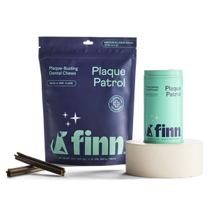 Plaque Patrol Dental Bundle Large