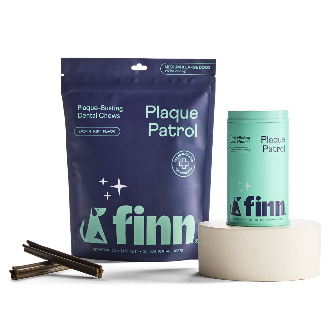 Plaque Patrol Dental Bundle Large