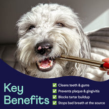 Load image into Gallery viewer, Plaque Patrol Dental Chews Large 2-Pack
