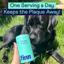 Load image into Gallery viewer, Plaque Patrol Dental Powder