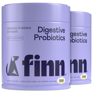 Digestive Probiotics 2-pack
