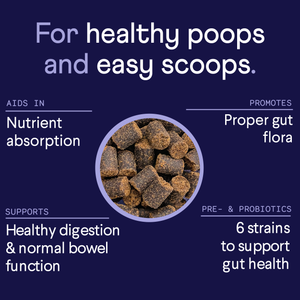 Digestive Probiotics 2-pack