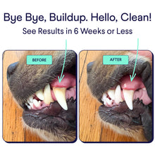 Load image into Gallery viewer, Plaque Patrol Dental Powder