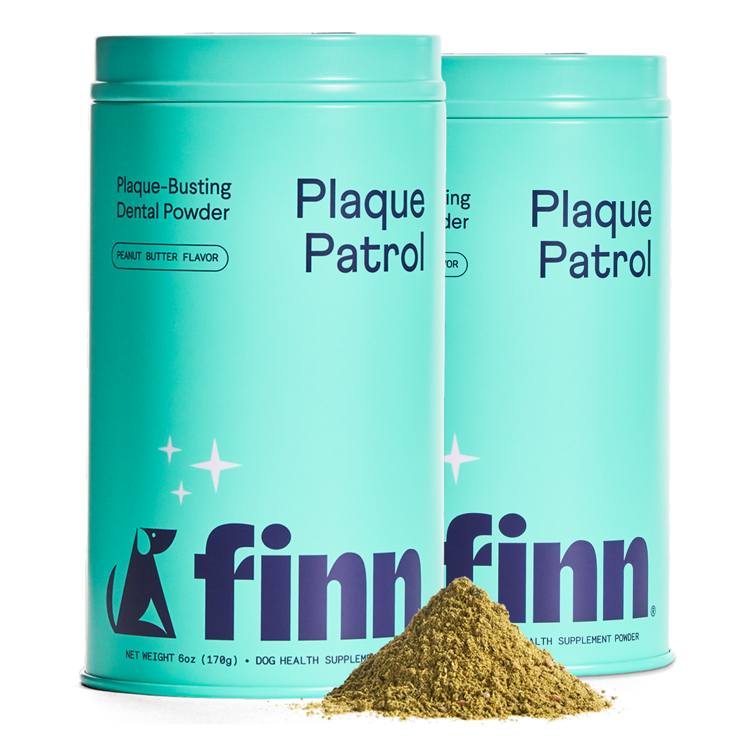 Plaque Patrol Dental Powder 2-Pack