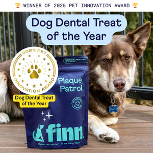 Plaque Patrol Dental Bundle Small