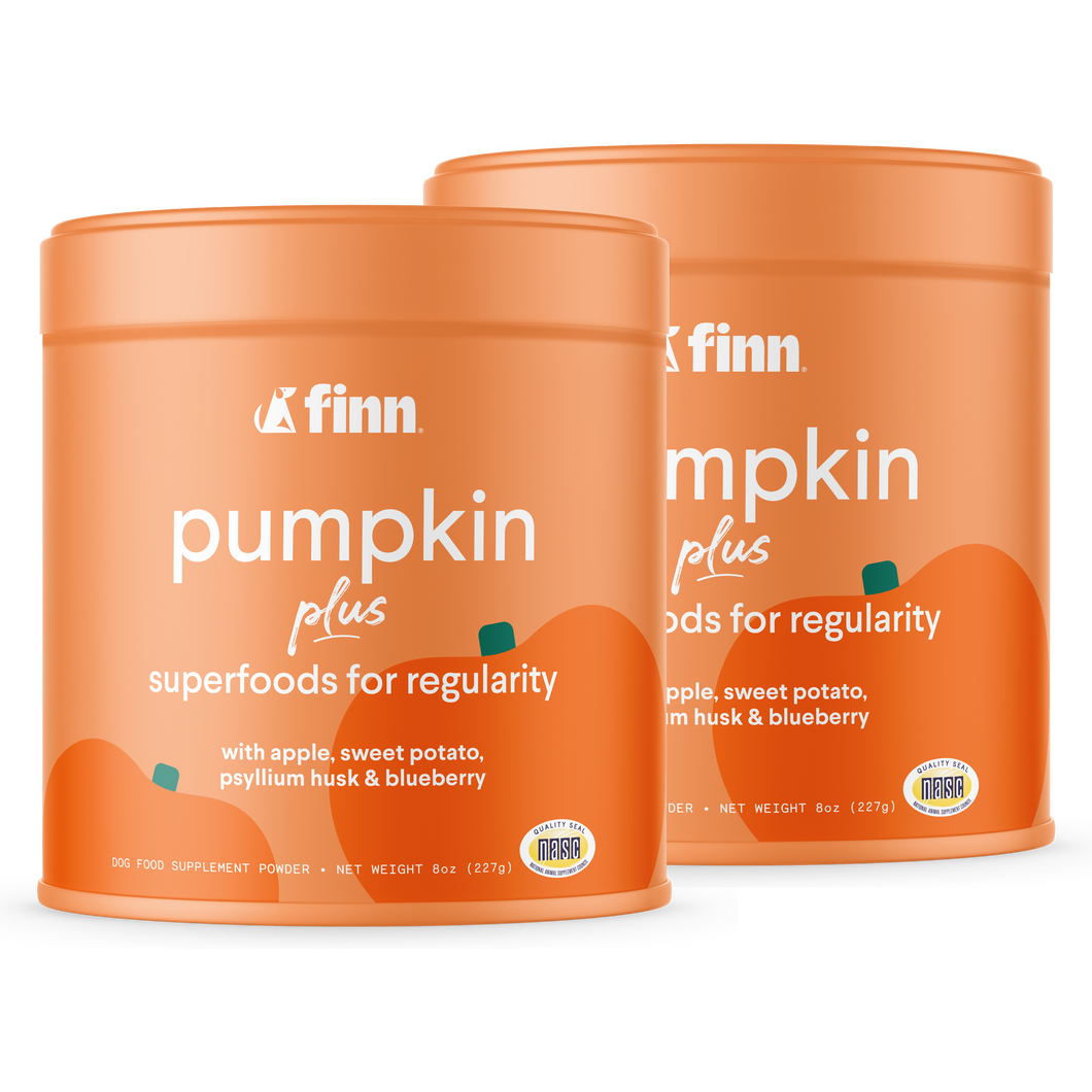 Pumpkin Plus 2-Pack