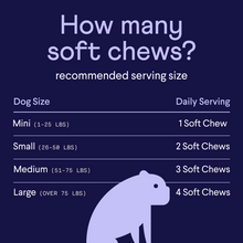 Load image into Gallery viewer, Digestive Probiotics 2-pack