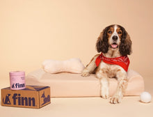 Load image into Gallery viewer, Dog laying on dog bed with Finn Skin &amp; Coat supplements