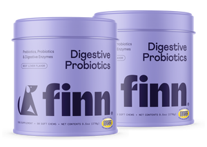 Digestive Probiotics 2-pack